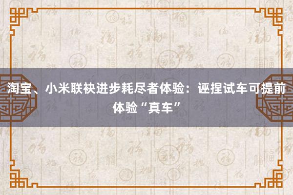 淘宝、小米联袂进步耗尽者体验：诬捏试车可提前体验“真车”