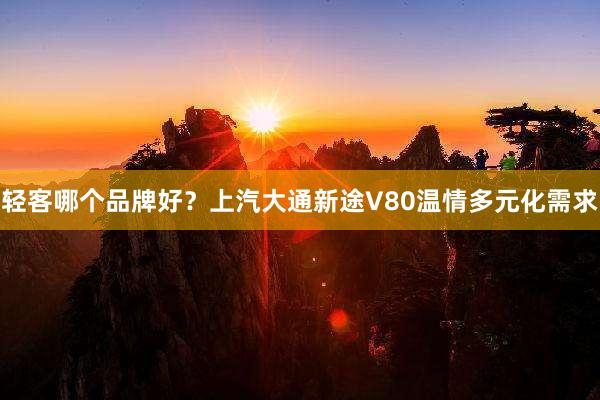 轻客哪个品牌好？上汽大通新途V80温情多元化需求