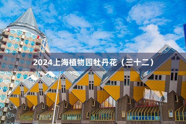 2024上海植物园牡丹花（三十二）