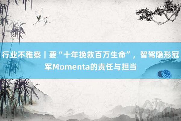 行业不雅察｜要“十年挽救百万生命”，智驾隐形冠军Momenta的责任与担当