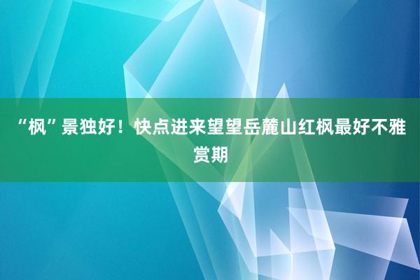 “枫”景独好！快点进来望望岳麓山红枫最好不雅赏期