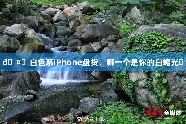 🤍白色系iPhone盘货，哪一个是你的白蟾光❔